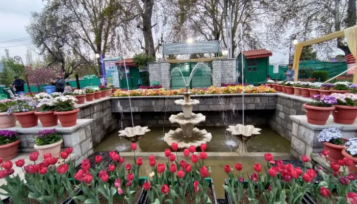 A fountain surrounded by colorful tulips in the Indira Gandhi Memorial Tulip Garden, Srinagar.
