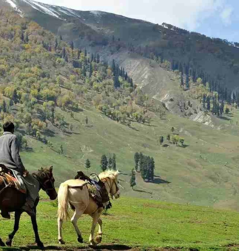 A man enjoying horse riding in Sonamarg Kashmir