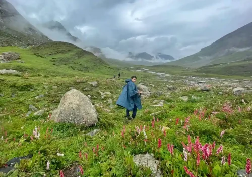 A trekker in the green meadows while trekking for Kashmir great lakes trek