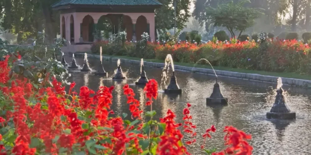 A view of Mughal garden Srinagar-Top Activities to Enjoy While Staying on a Houseboat in Srinagar