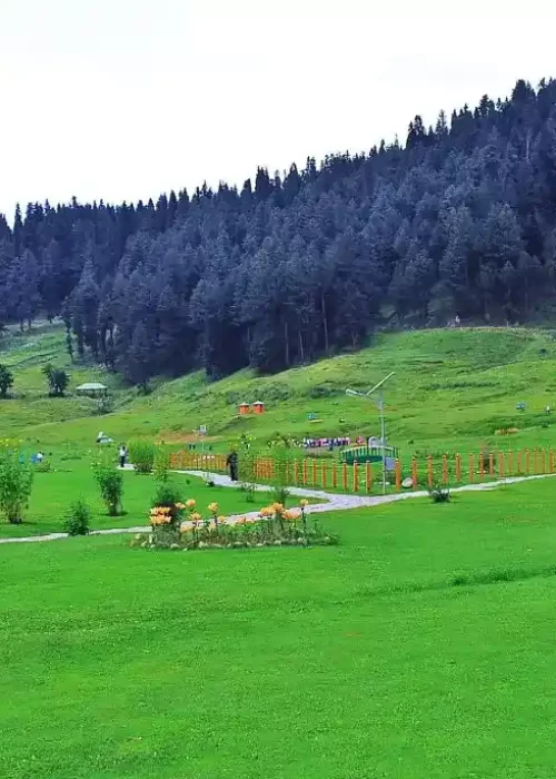 An old man sitting on bench in a park in Gulmarg with the forests as background, gulmarg tour guide