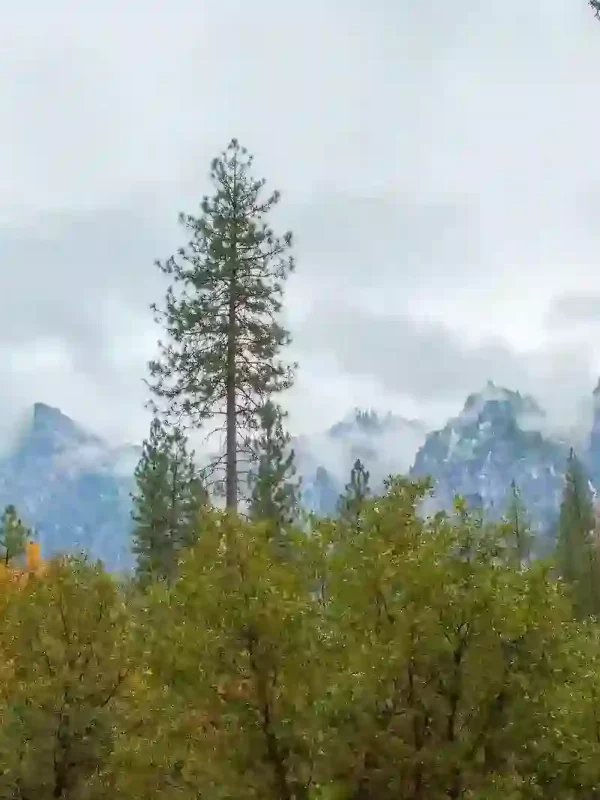 Baisaran valley pahalgam