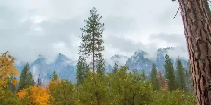 Baisaran valley pahalgam