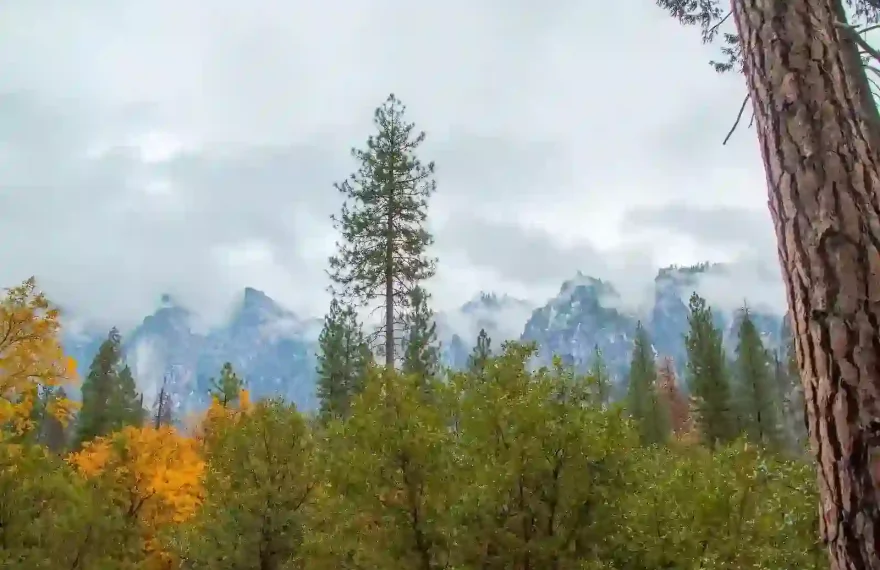 Baisaran valley pahalgam