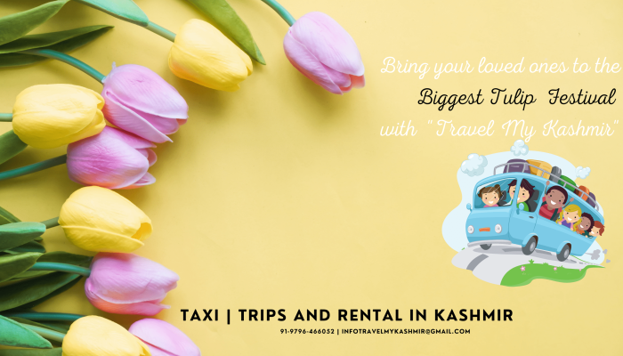 Bring your loved ones to the biggest Tulip Festival with Travel My Kashmir