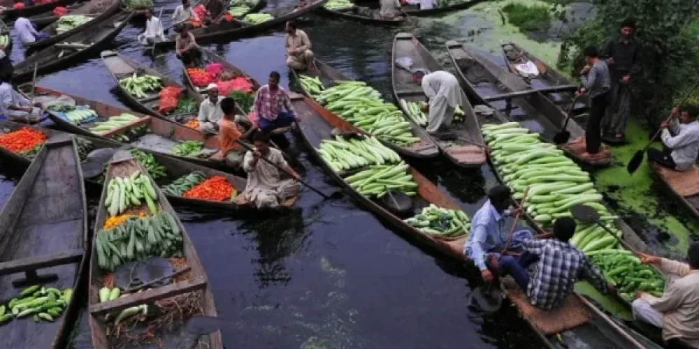 Floating market dal lake-Top Activities to Enjoy While Staying on a Houseboat in Srinagar