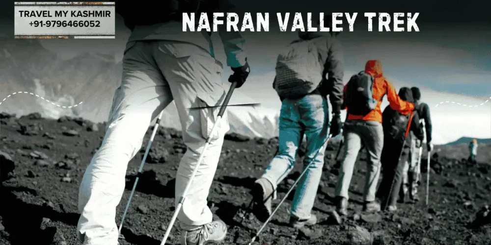 Nafran Valley Trek- short treks kashmir Nafran Valley Trek- short treks kashmir