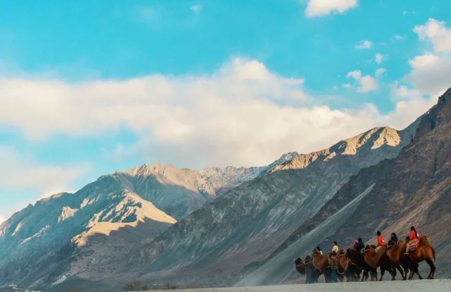 Nubra valley- Leh Ladakh- Travel My Kashmir