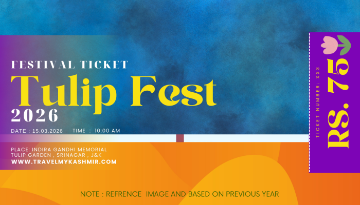 Tulip Garden Srinagar- Tulip Festival Kashmir