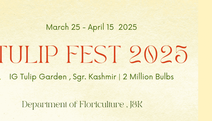 Tulip festival srinagar 2025 ticket of tulip garden