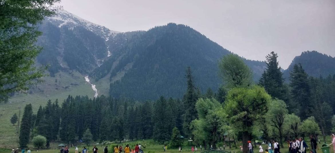 A beautiful view of Betaab valley pahalgam- Shallow Focus Photo of White almond flowers -Kashmir in March