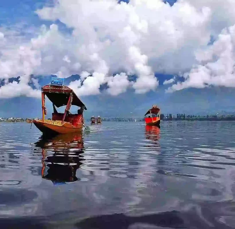 shikara booking dal lake 1