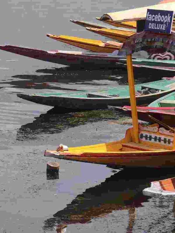 shikara's waiting for guests in Dal lake Srinagar