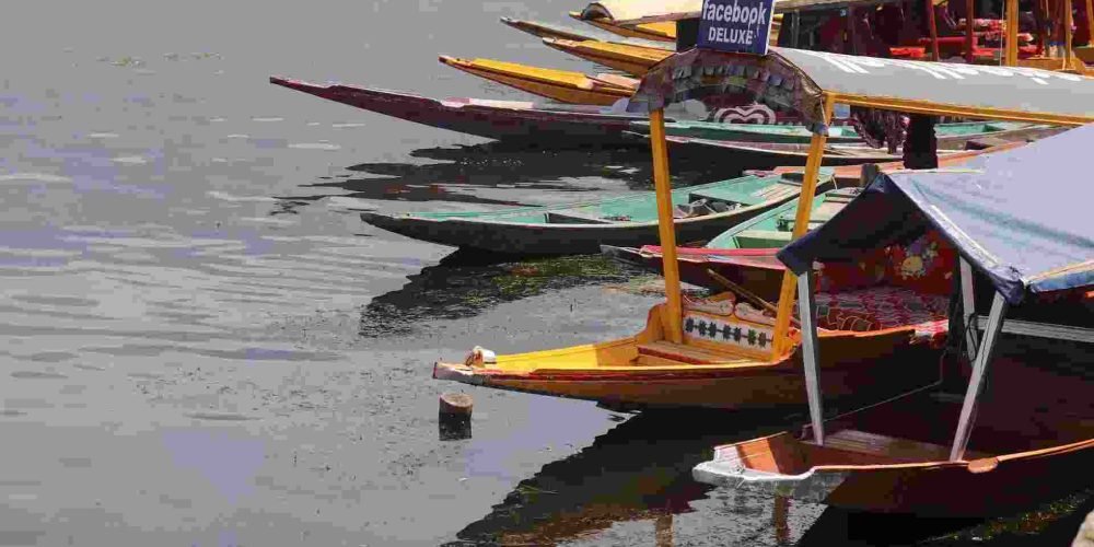 shikara's waiting for guests in Dal lake Srinagar