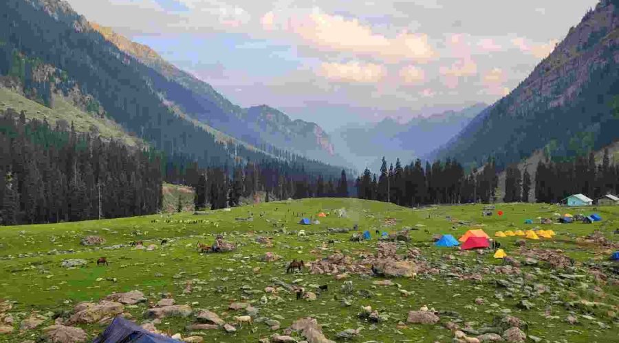 trekking camps installed in a beautiful meadow of Pahalgam - Three days kashmir tour package